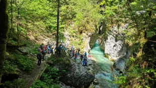 Naravovarstvena ekskurzija po Koželjevi tematski poti v Kamniško Bistrico
